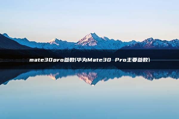 mate30pro参数(华为Mate30 Pro主要参数)