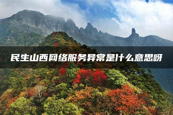 民生山西网络服务异常是什么意思呀