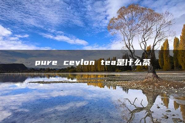 pure ceylon tea是什么茶