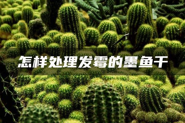 怎样处理发霉的墨鱼干