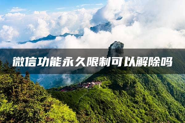 微信功能永久限制可以解除吗