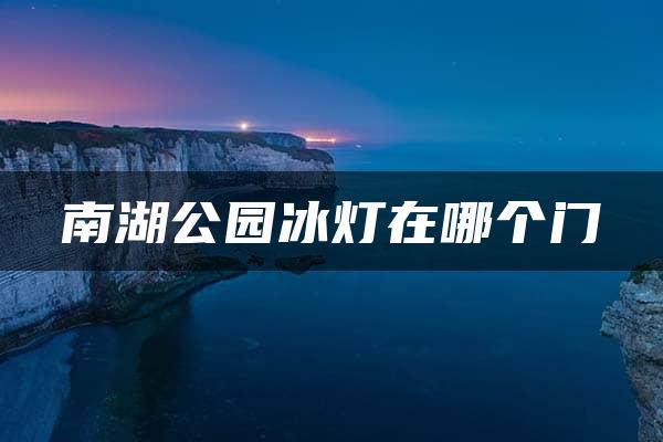 南湖公园冰灯在哪个门