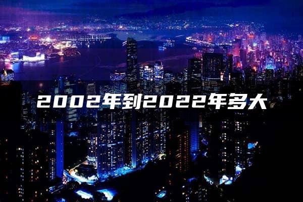 2002年到2022年多大