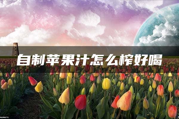 自制苹果汁怎么榨好喝