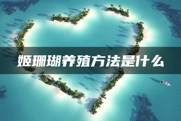 姬珊瑚养殖方法是什么