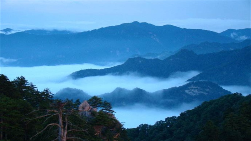 寿比南山的南山是指哪里