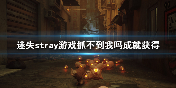 stray怎么获得抓不到我吗成就