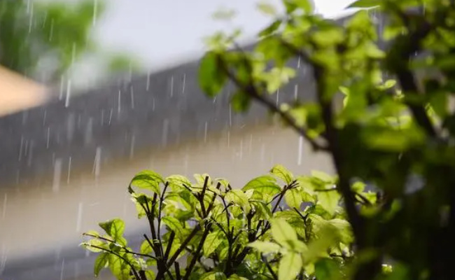 ​清明时节雨纷纷三大原因是什么？