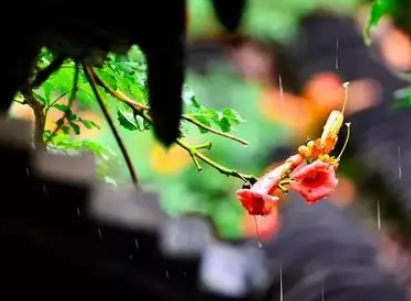 2022年北方有梅雨季节吗