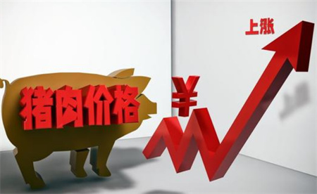 ​4月下旬生猪价格上涨4.3％ 对居民生活会有影响吗？