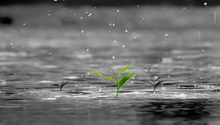 暴雨指的是降雨量多少毫米