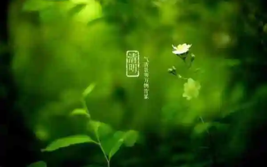 清明节上坟选日子是选阴历还是选阳历好