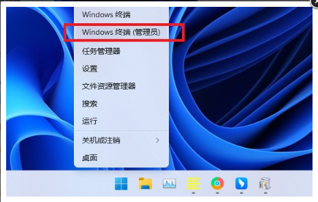 Win11系统.NET Framework 3.5怎么启用