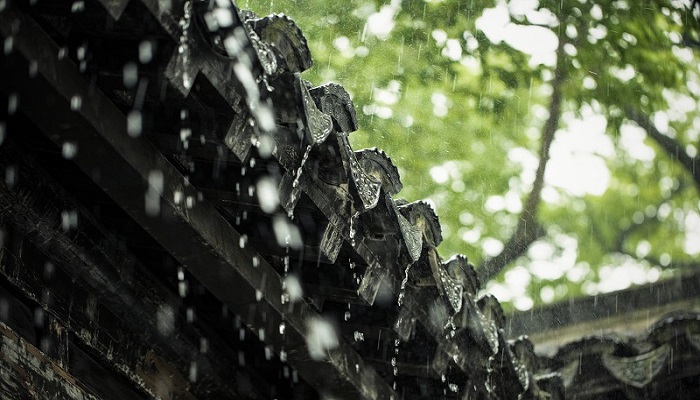 暴雨是指降雨量多少