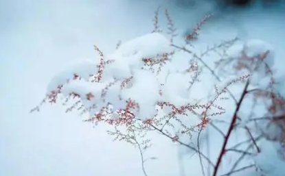 大雪节气晴天好不好