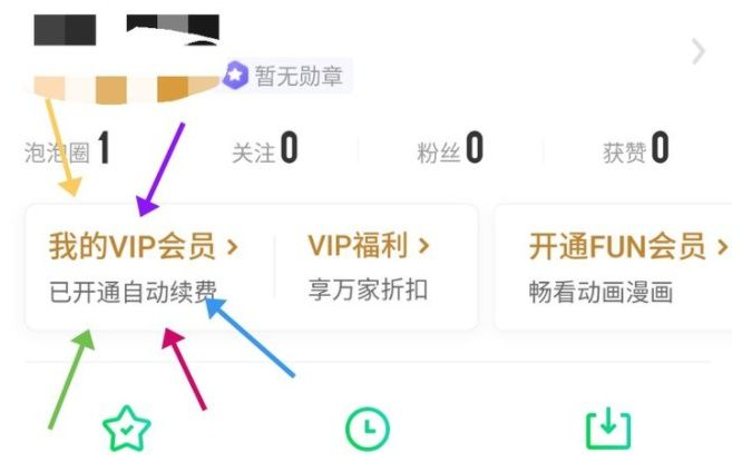 爱奇艺怎么取消vip会员自动续费