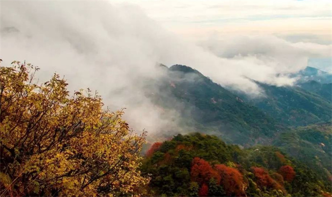 泰山半夜爬要多少钱 半夜去爬泰山要钱吗