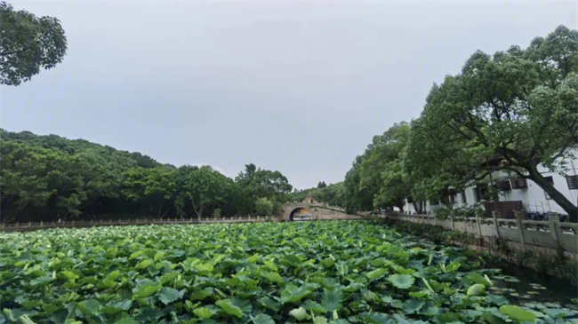 普陀山在哪个省 普陀山在浙江哪个城市