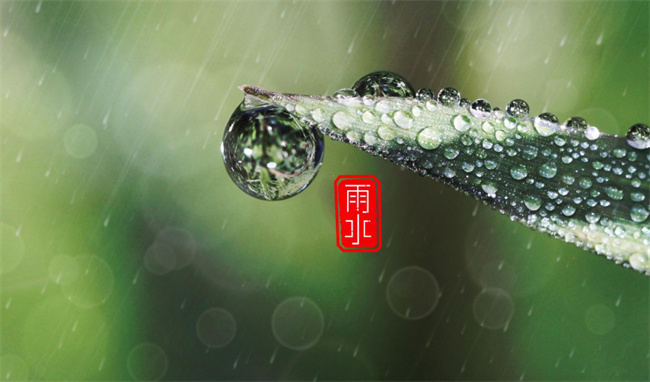 2023年雨水节气是在几月几日