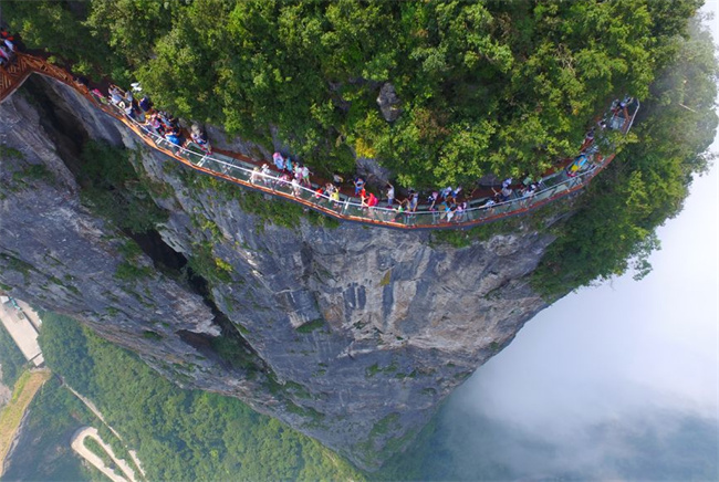 ​张家界天门山景区多人跳崖自杀是真的吗