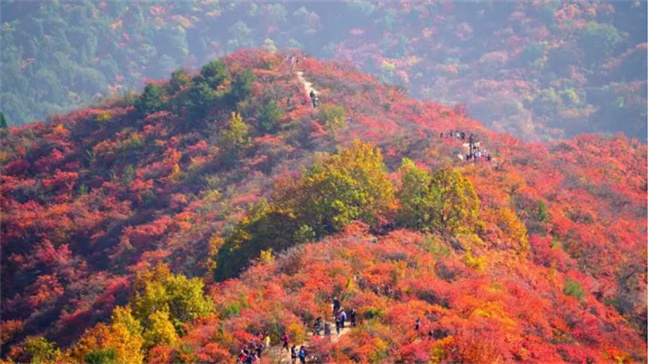 香山红叶几月份好看（香山公园几月份有红叶）