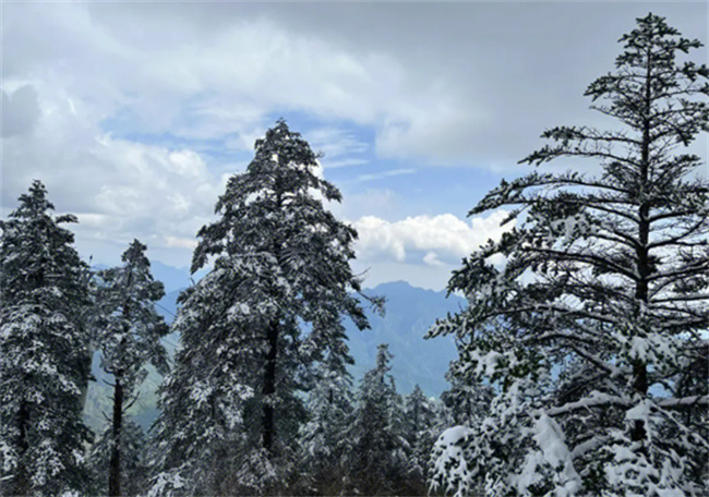 ​西岭雪山八月份有雪吗 西岭雪山好玩吗