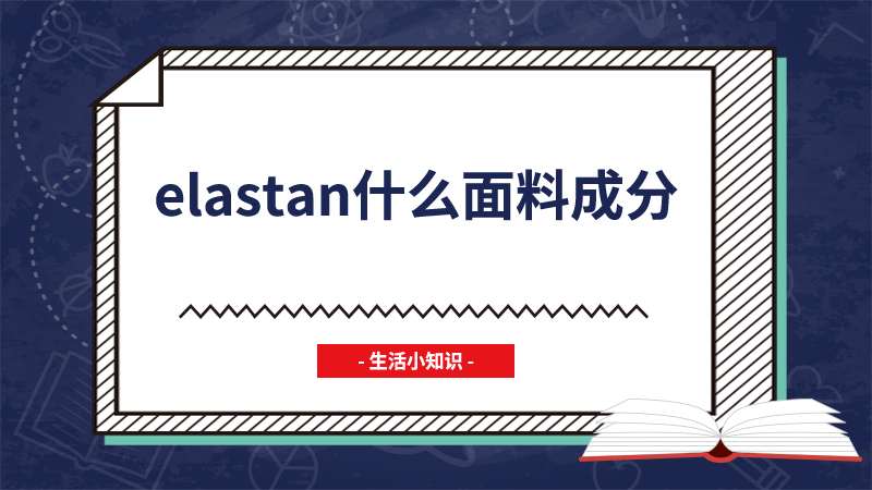 elastan什么面料成分