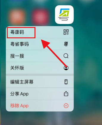 粤省事app怎么一键亮码