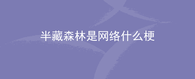 半藏森林是什么梗