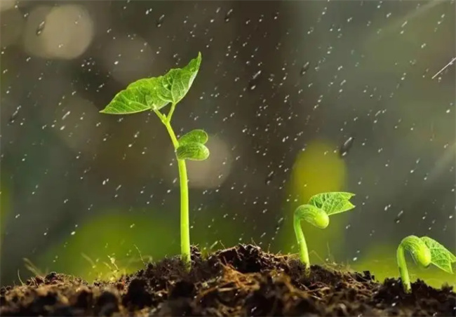 雨水的含义以及形成分析