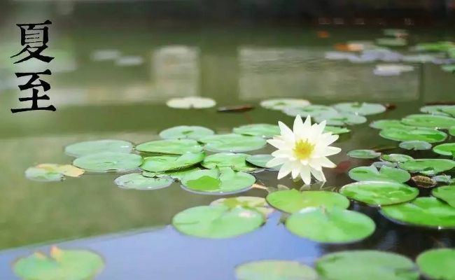 夏至节气有什么寓意？夏至节气种什么农作物？