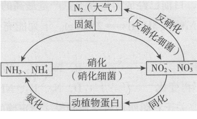 ​有机物和无机物的区别 有机物和无机物有什么不同