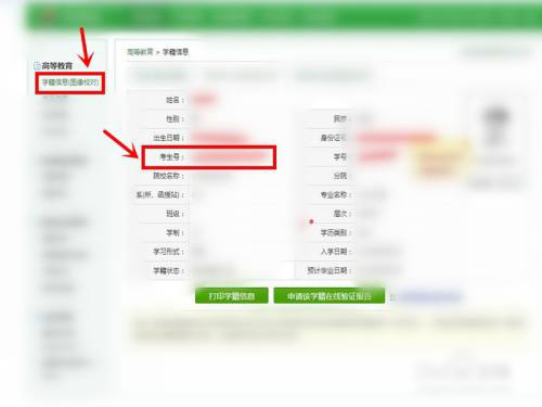 学信网怎么查自己的考生号