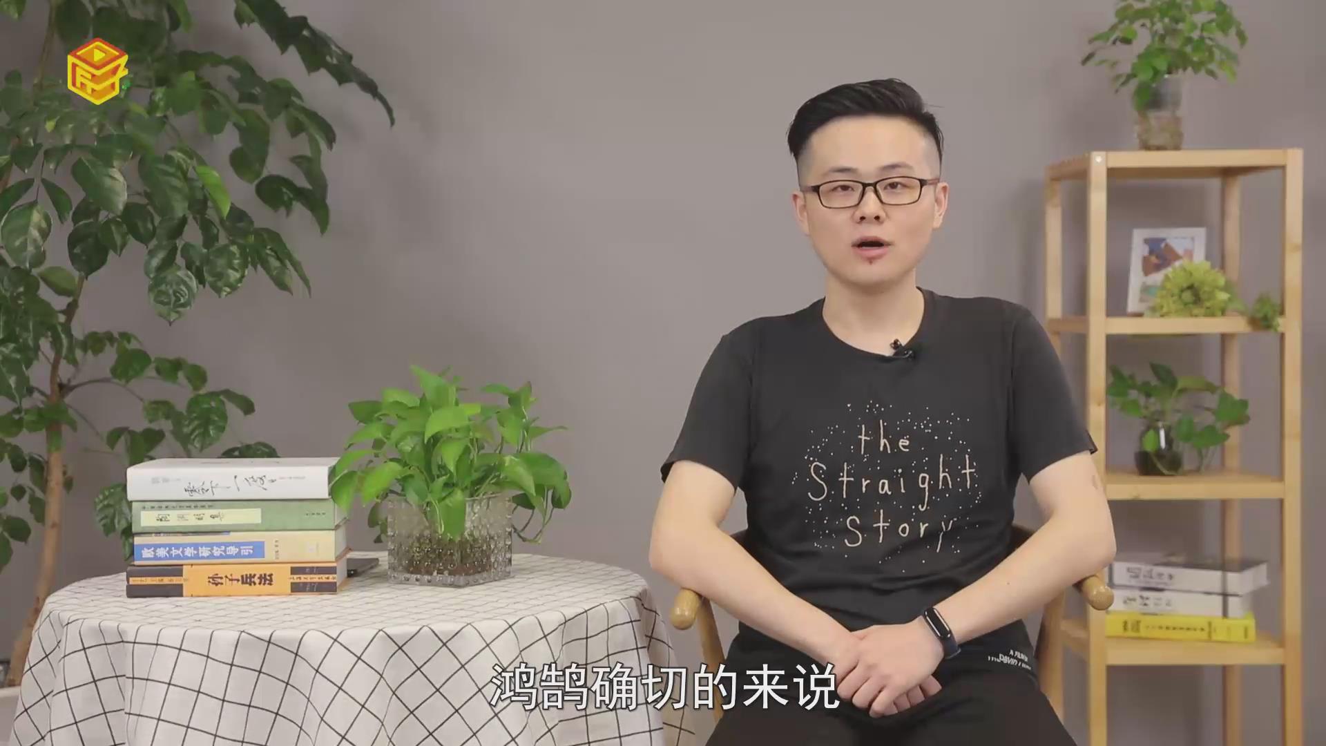 鸿鹄是什么鸟