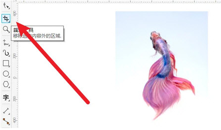 CorelDRAW怎么裁剪图片