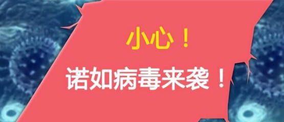 中疾控最新提醒 关于HRSV病毒需要注意事项