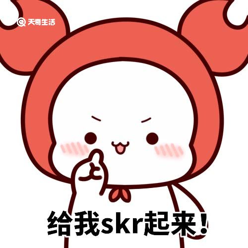 skr是什么梗