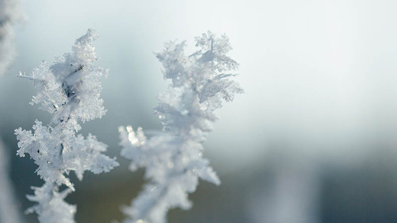 雪花的形状