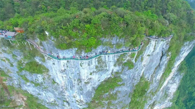 ​张家界天门山景区多人跳崖自杀是真的吗