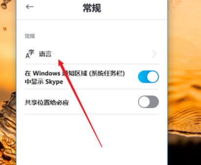 skype怎样设置语言