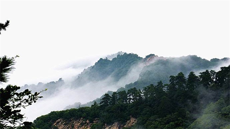 寿比南山的南山是指哪里