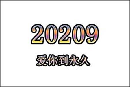 20209是什么意思网络用语