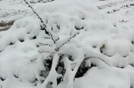 大暴雪天气能不能上高速