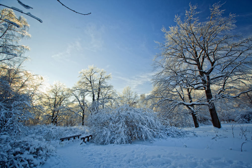 今年会出现2008年的雪天吗2021-2022