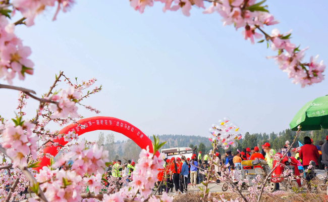 河南多地迎来3月桃花雪 河南桃花节是什么时候？