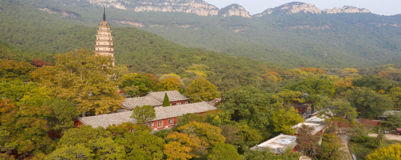 四大名寺指的是哪四个