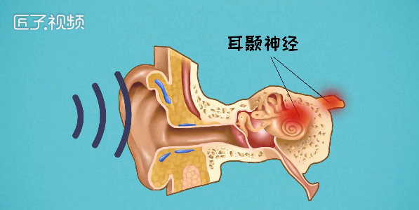 为什么耳朵会痛