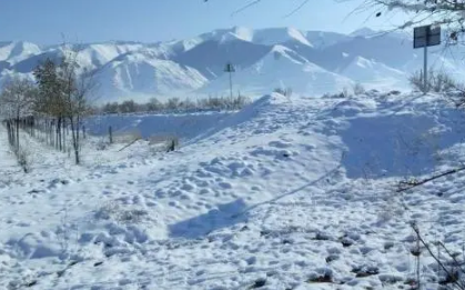 大雪节气晴天好不好