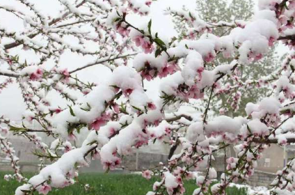 2022年2月份下雪正常吗