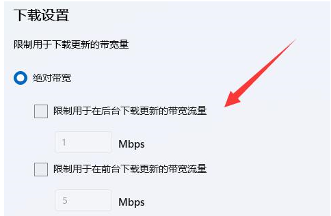 Win11下载速度太慢了怎么办